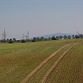 Widok na Slężę z myśliwskiej ambony 2006.09.13