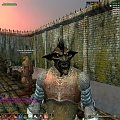 #eq2