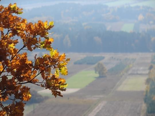 Widok w kierunku południwym.