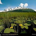 North of Seward, Alaska, 1997
Photograph by Michael Melford