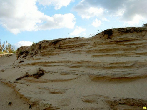 piaskowa faktura #wydmy #piasek #plaża #widok #faktura