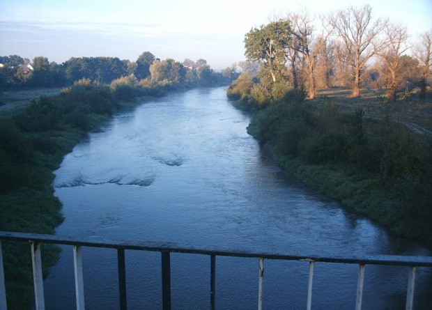 rzeka Tanew w Ulanowie