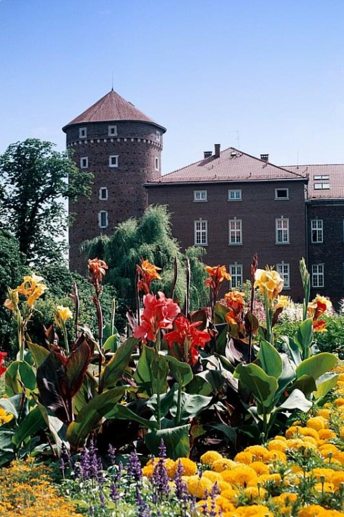 Wawel w kwiatach