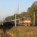 23.06.2006 Kunowice-Rzepin CD 371 002-7 z EC 41 (BWE) "śmignął z rana" w kierunku Rzepina