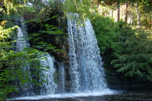 Japanis Water Garden in Duick #Szkocja #przyroda #ogrod #wodospady #wodospad