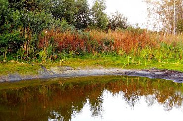 początek jesieni pod wieczór #widoki #plenerowe #łąki #jesień