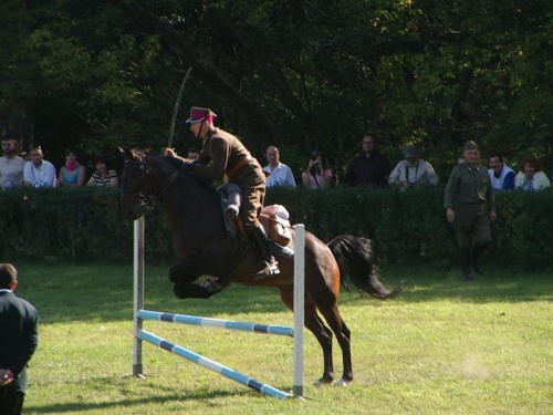 #jeździectwo #konie #koń #sport #zwierzęta