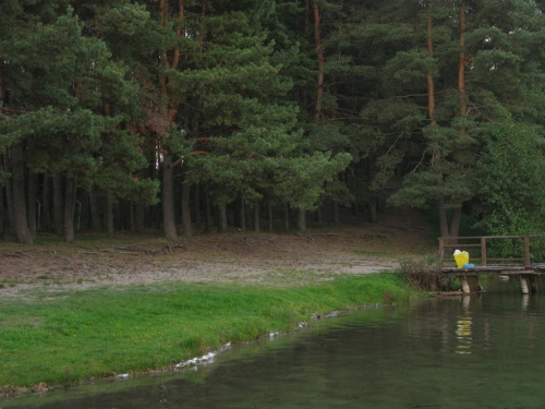 #OkoliceOlsztyna #jezioro #las #rower #ZachódSłońca #światło