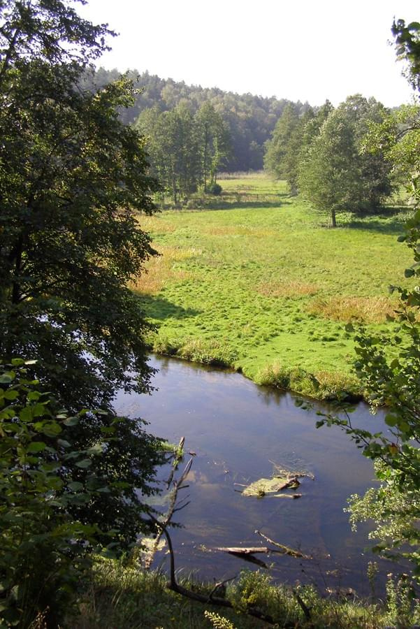 Relacja fotograficzna z wycieczki odbytej 17 IX 2006 roku. Przebiegała ona przez centralną cześć borw tucholskich. Trasa wiodła ze Smętowa przez Osiek i Legbąd do Rytla
Więcej na:
www.phantom.blog.pl