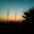 Rodos, Symi - Grecja; 15-29.06.06r.