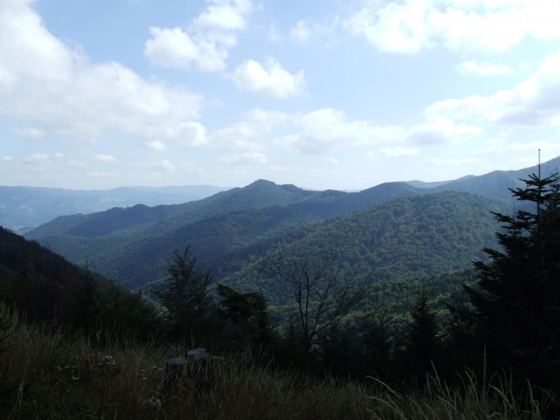 Beskid Sądecki - okolice Rytra #góry