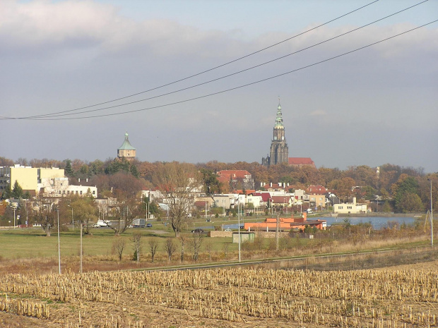Widok na bazylikę i wieżę ciśnień w świdnicy od strony zalewu Witoszówka.
