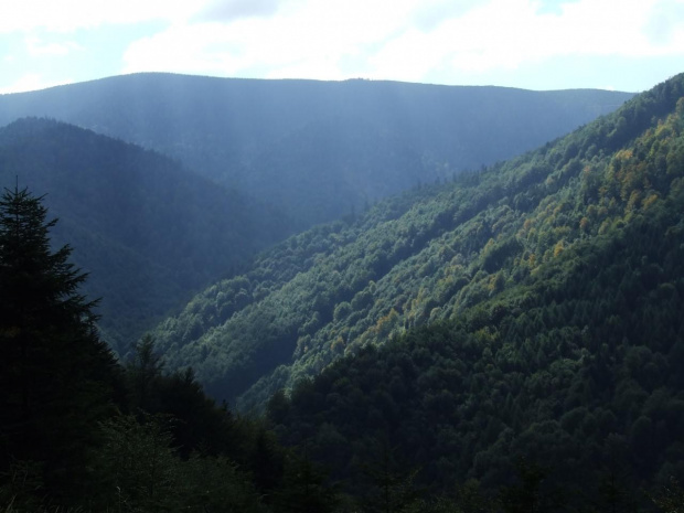 Beskid Sądecki - okolice Rytra #góry