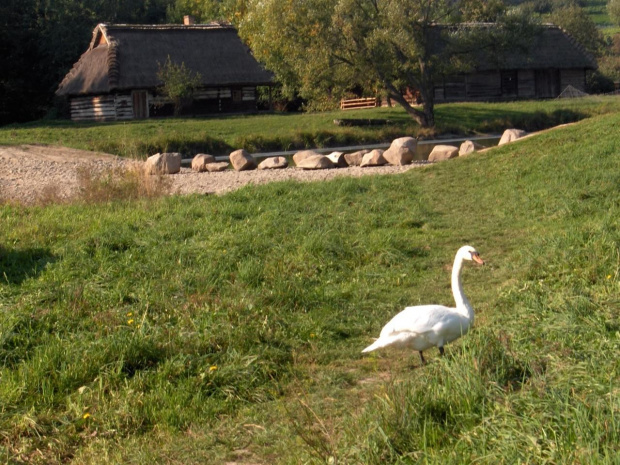 skansen