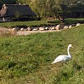 skansen