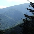 Beskid Sądecki - okolice Rytra #góry