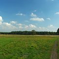 Łąki Bonowskie #łąka #łąki #Bonów