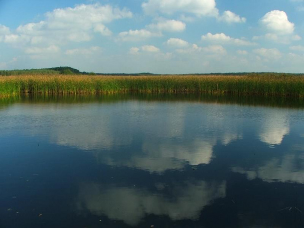 Jezioro Piskory #jezioro #Piskory