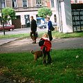 nasz pies na 6 zdjęciach
