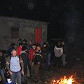 FOREST RAVE 1