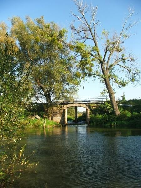 Most na Kurówce w okolicy Brzozowej Gaci #BrzozowaGać #most #Kurówka