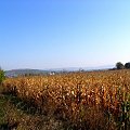 Tokaj pażdziernik 2006