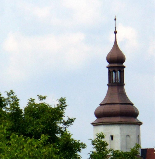 Centrum i okolice Żor