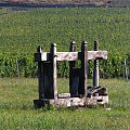 Tokaj pażdziernik 2006