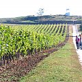 Tokaj pażdziernik 2006