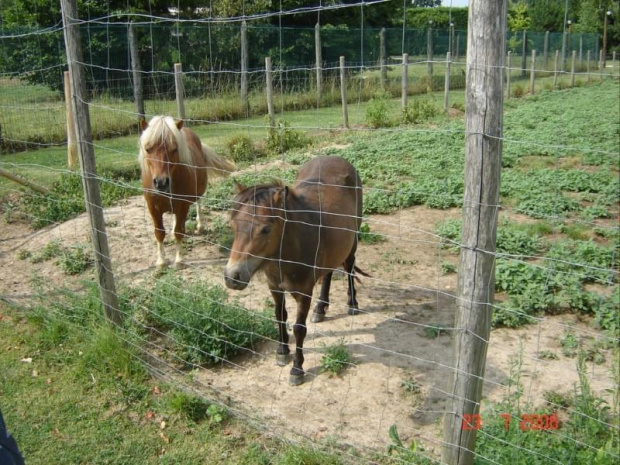 Cernay La Ville - ferme du bout du pres