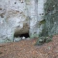 #zamek #jaskinia #ostrężnik #SkałaWapienna #skała