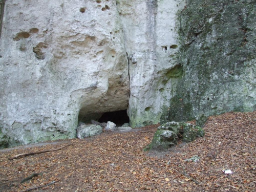 #zamek #jaskinia #ostrężnik #SkałaWapienna #skała