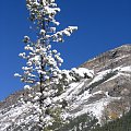 Jasper, Alberta, Canada
7-8 X 2006