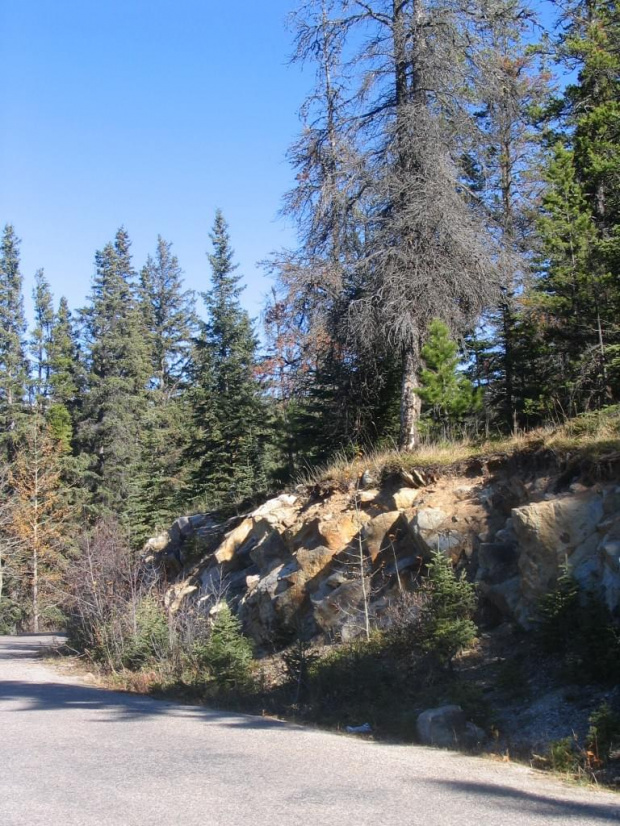 Jasper, Alberta, Canada
7-8 X 2006