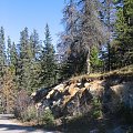 Jasper, Alberta, Canada
7-8 X 2006