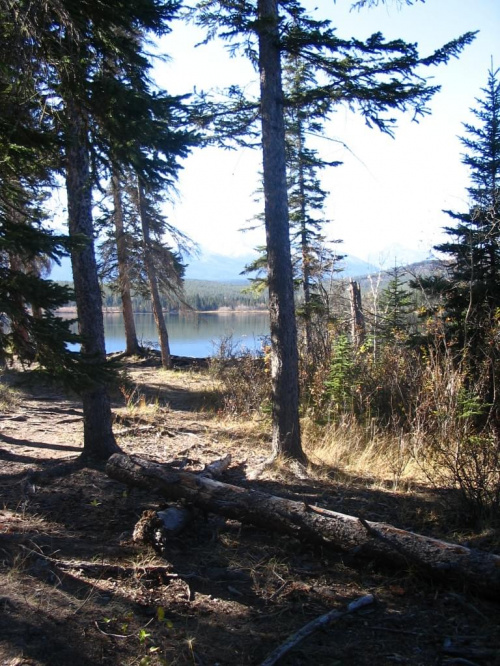 Jasper, Alberta, Canada
7-8 X 2006