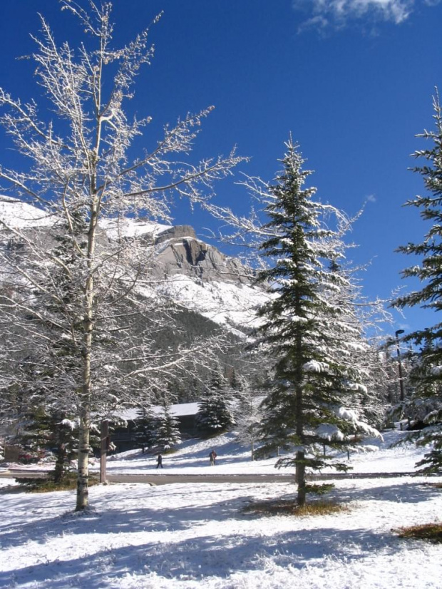 Jasper, Alberta, Canada
7-8 X 2006