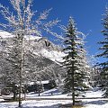 Jasper, Alberta, Canada
7-8 X 2006