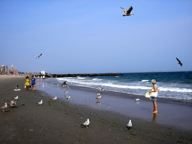 Obydwie lubimy karmić mewy na Coney Island. A i one się już wycwaniły, po paru razach jak już tylko pojawiłyśmy się na plaży, same szły w naszym kierunku