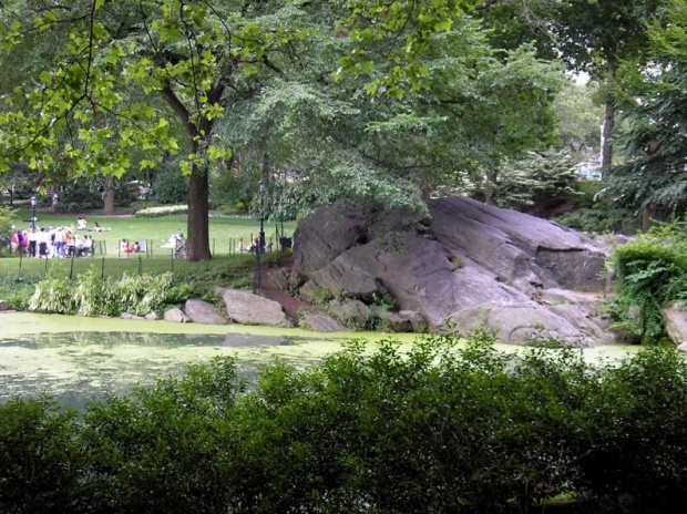 Nowojorski Central Park. Największy park w Nowym Jorku, jednak wszystko jest w nim zrobione ręką człowieka. Pod tą masą zieleni, jest beton, a pod nim cała machineria, która włącza sztuczne strumyczki, wodospady, źródełka. Nie ma w nim niestety nic nat...