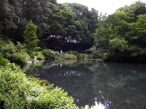 Nowojorski Central Park. Największy park w Nowym Jorku, jednak wszystko jest w nim zrobione ręką człowieka. Pod tą masą zieleni, jest beton, a pod nim cała machineria, która włącza sztuczne strumyczki, wodospady, źródełka. Nie ma w nim niestety nic nat...