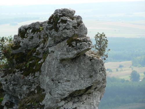 Podlesice koło Zawiercia.