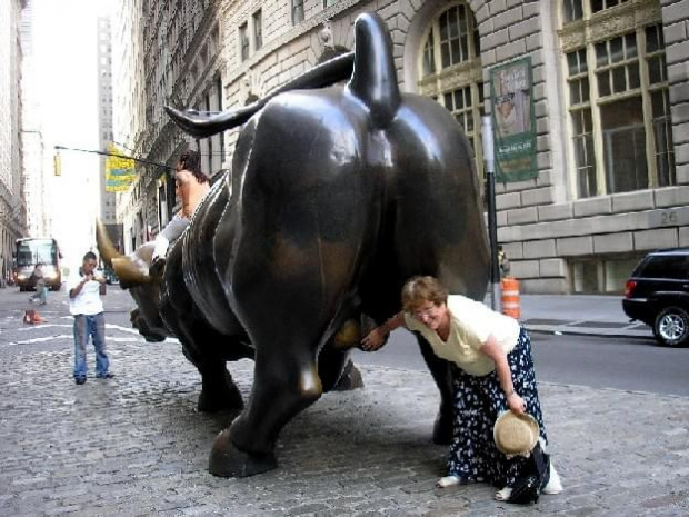 Zdjęcie nie najlepszej jakości, ale MUSZĘ je zamieścić. To jest byk, który stoi w pobliżu nowojorskiej Wall Street. Przynosi szczęście, ale tylko wtedy, kiedy dotknie się jego genitalii, co też skrzętnie i z chęcią uczyniłam