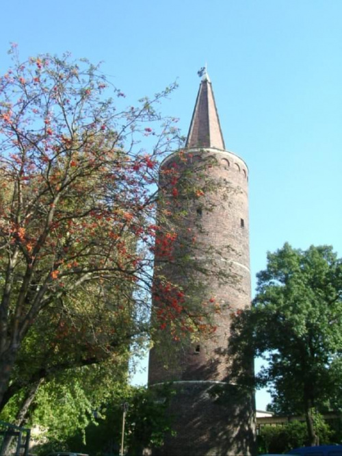Wieża czasami widoczna podczas transmisji z Opola
