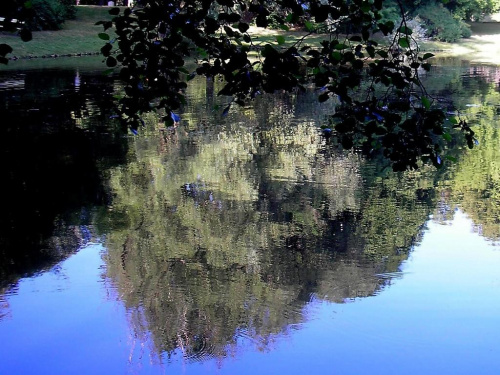 Park Skaryszewski, jego uroki i mieszkańcy