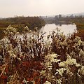 pózna jesien #jesień #przyroda #rzeka #San