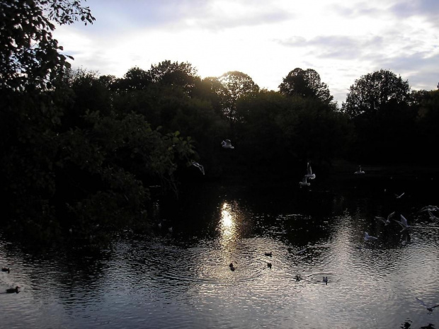 Park Skaryszewski, jego uroki i mieszkańcy