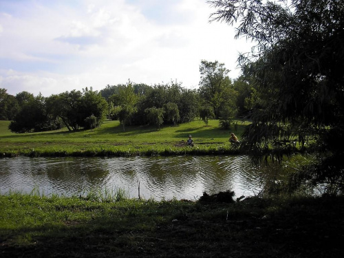 Park Skaryszewski w Warszawie i jego goście