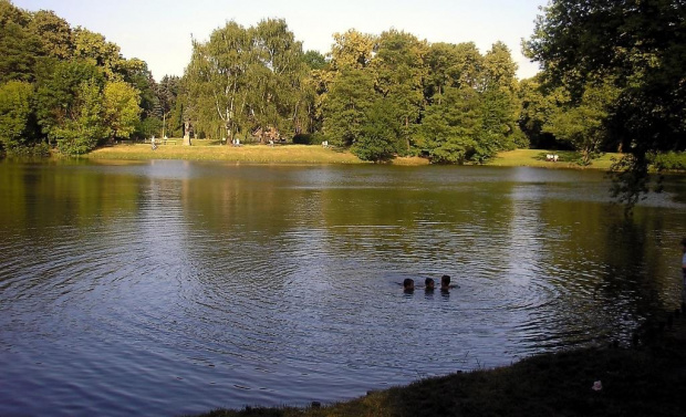 Park Skaryszewski, jego uroki i i goście