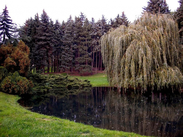 Park Skaryszewski, jego uroki i mieszkańcy